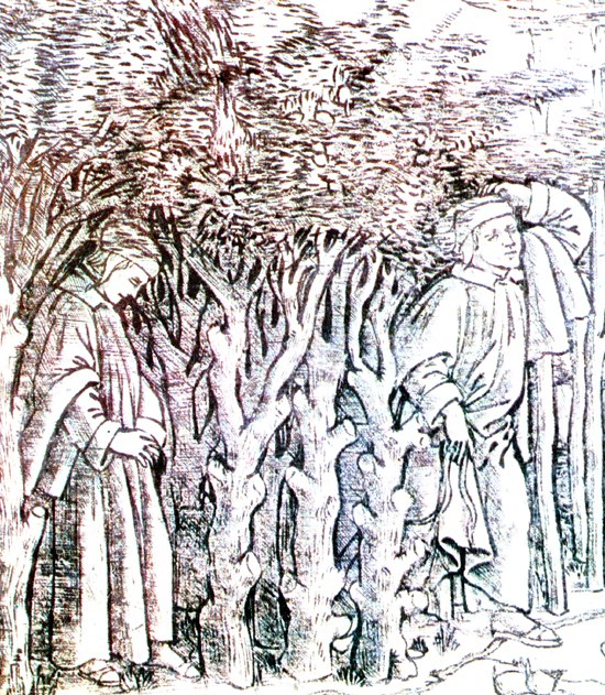 La selva - Disegno XV secolo