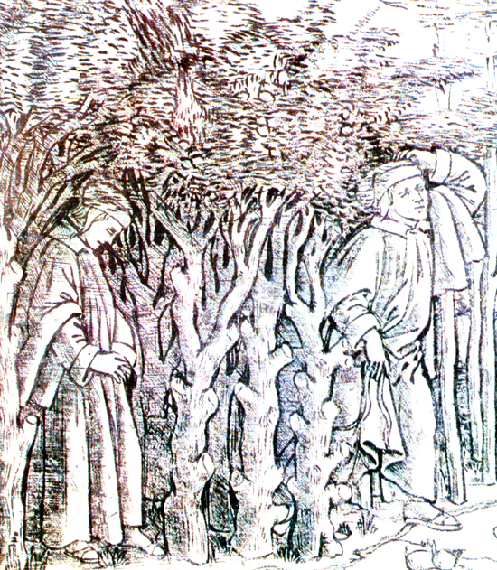 La selva - Disegno XV secolo