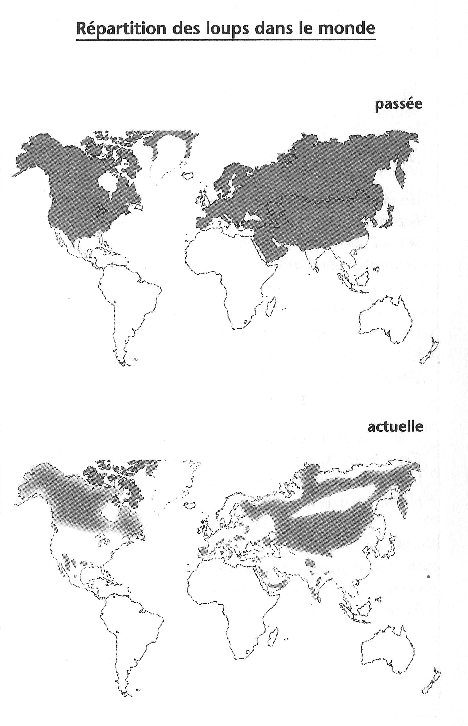 loup-dans-le-monde.jpg