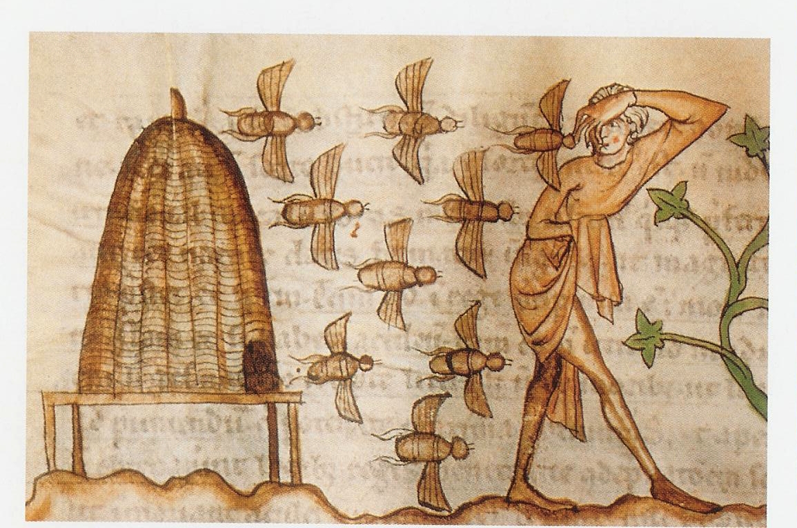 abeilles.jpg