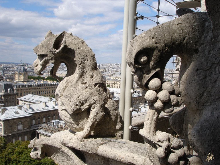 Dragon et Aigle