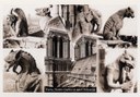 Carte postale: les Gargouilles de Notre-Dame de Paris