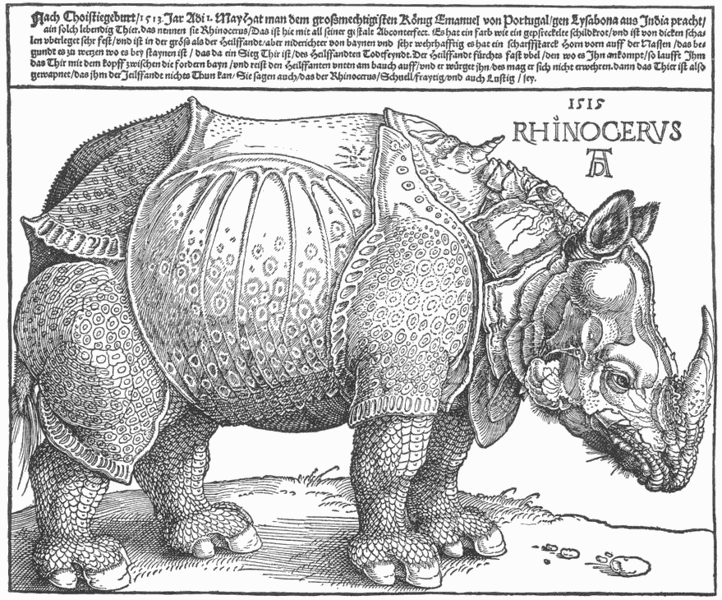 Rhinocéros de Dürer