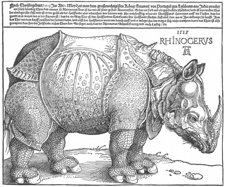 Rhinocéros de Dürer